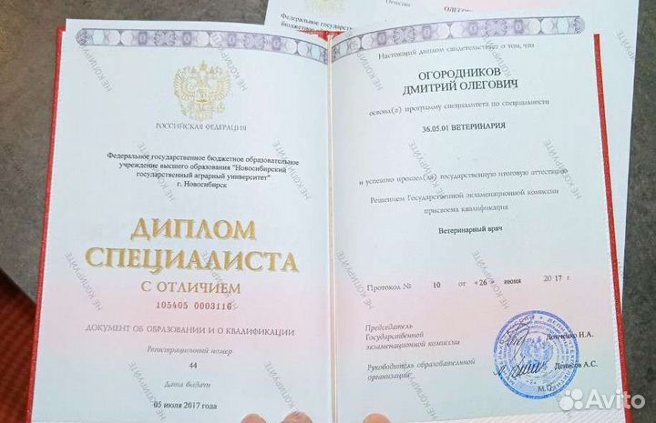 Вызов ветеринарного врача на дом