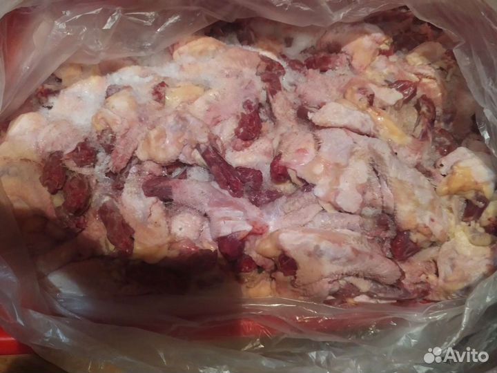 Шея куриная с кожей для собак