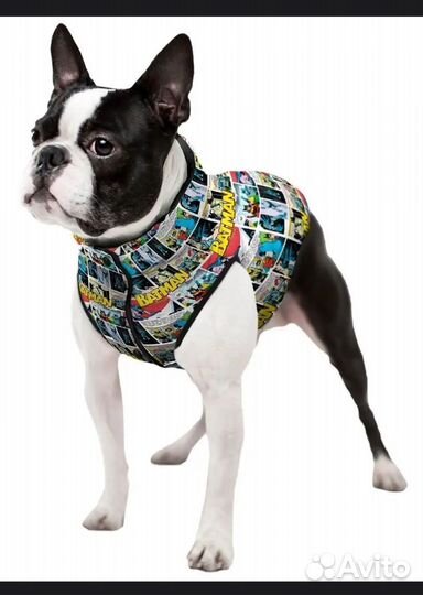 Куртка для маленькой собаки waudog