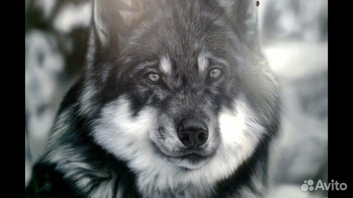 Дизайн под заказ