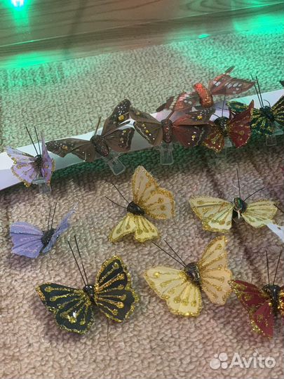 Флористика бабочки