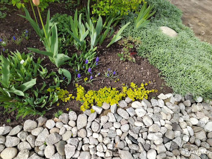 Сад и огород