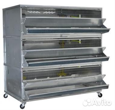 Клетка для перепелов 