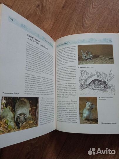 Детские энциклопедии