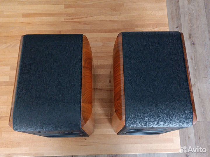 Sonus faber concerto