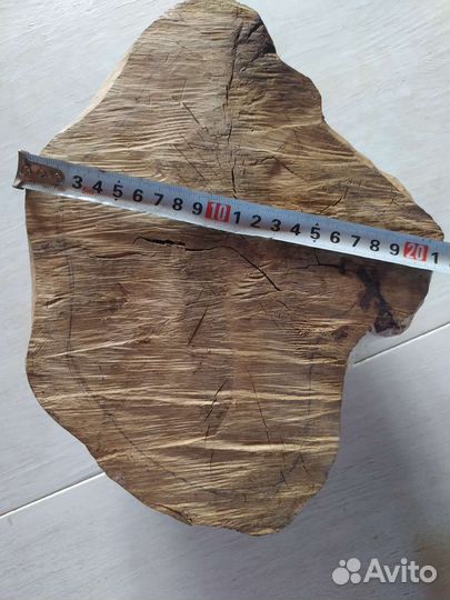 Кап сувель береза