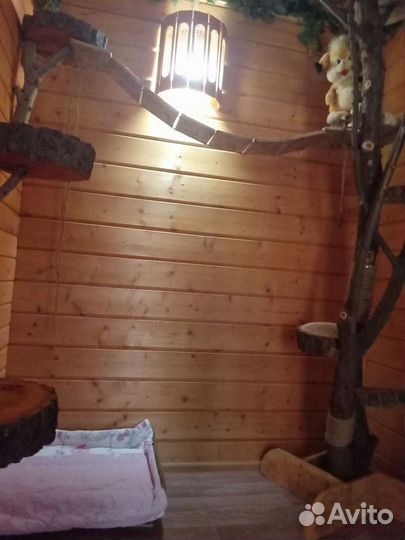 Передержка животных