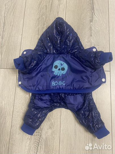 Одежда для собак