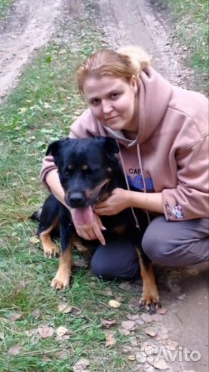 Продавец, менеджер