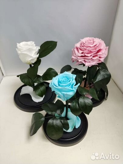 Подарок маме / Розы оптом