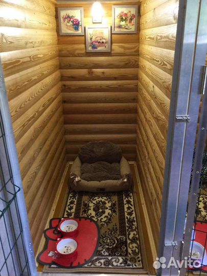 Гостиница для собак