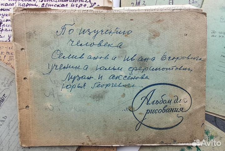 Дневники всемирно известного художника Селиванова