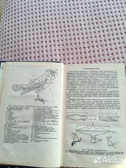 Определитель птиц.Фауны ссср.пп.Второв,Н.Н.Дроздов