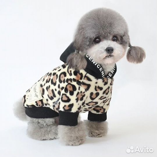 Одежда pettrip для кошек и собак мелких пород