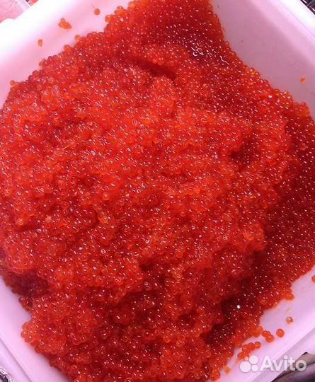 Красная икра 2023 камчатка