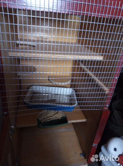 Клетки для шиншиллы, хомяка, попугая