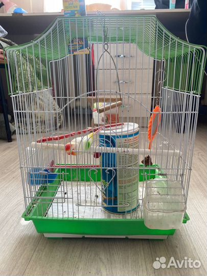 Клетка для попугая