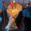 Республика Дагестан, Кизляр, улица 40 лет Дагестана