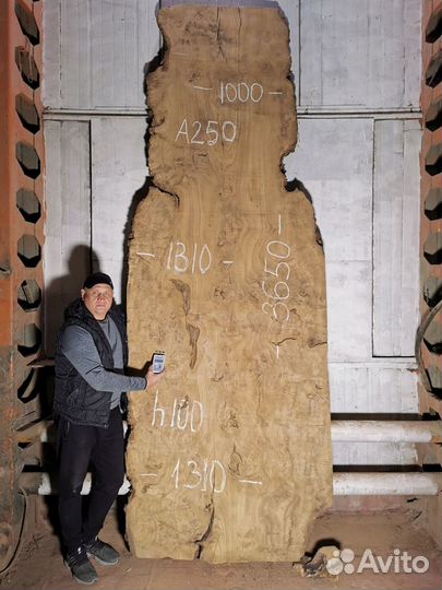 Слэбы из дерева карагач и другие породы