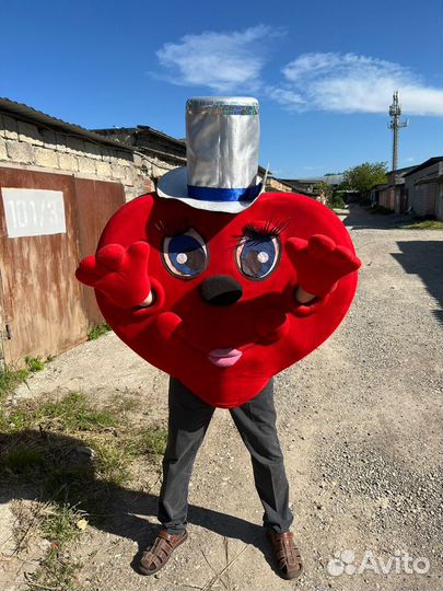 Костюм ростовой куклы