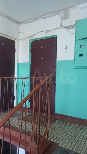 1-к. квартира, 29,1 м², 5/5 эт.