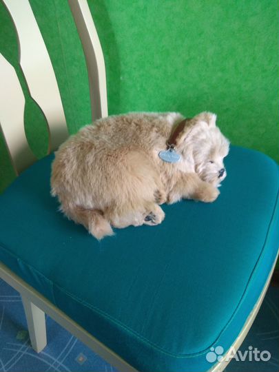 Дышащая игрушка Perfect petzzz