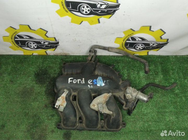 Коллектор впускной Ford Escape EP3 AJ 2001