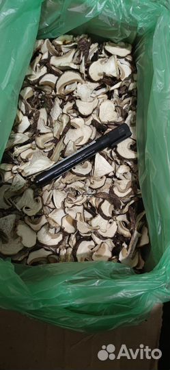 Сухой белый гриб