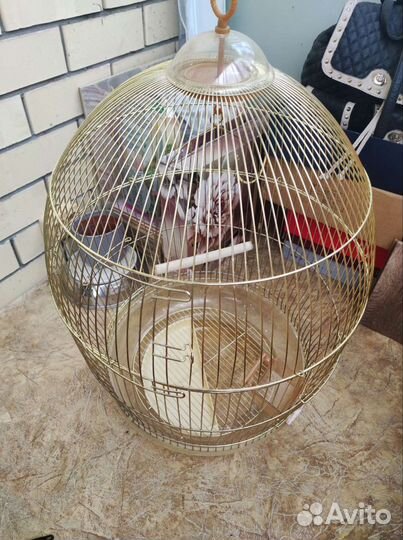 Клетка для попугая