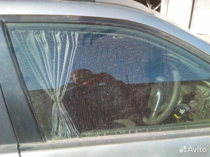 Стекла дверей Nissan Avenir Salut