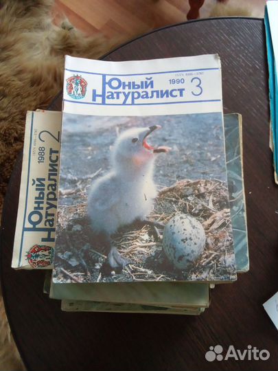 Книги и журналы