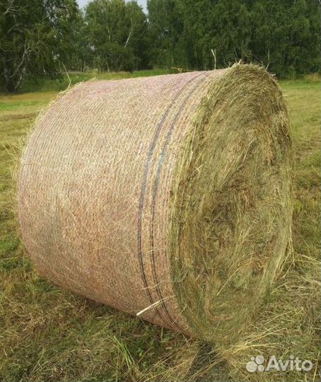 Сено в рулонах с доставкой