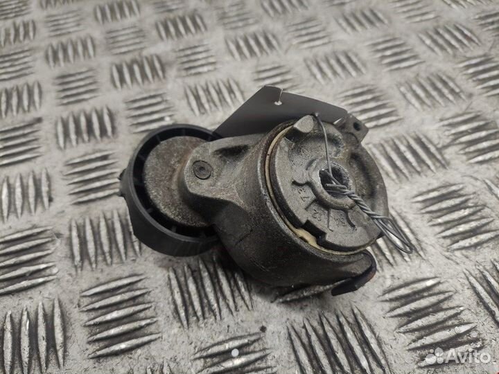 Натяжитель для Peugeot-Citroen Picasso