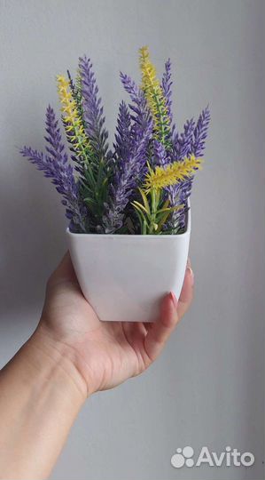 Трава в кашпо