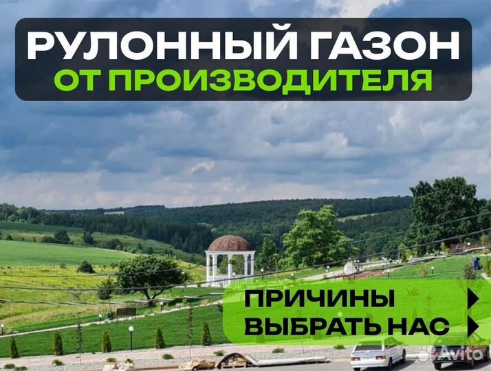 Рулонный газон Универсальный. От производителя