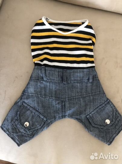 Одежда для собак