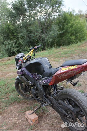 Irbis gr 250