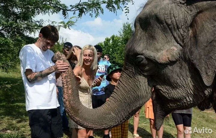 Эко-парк со Слонами