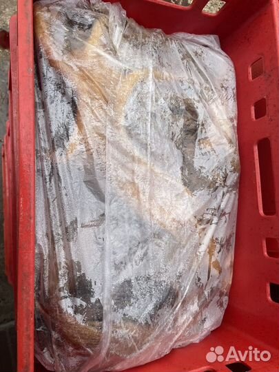 Собачий корм