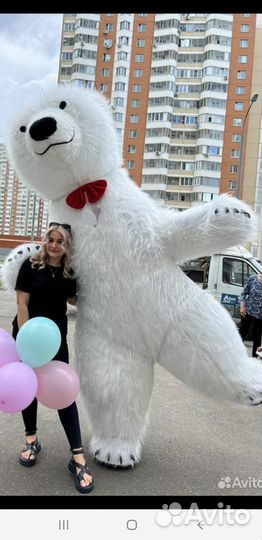 Панда поздравление