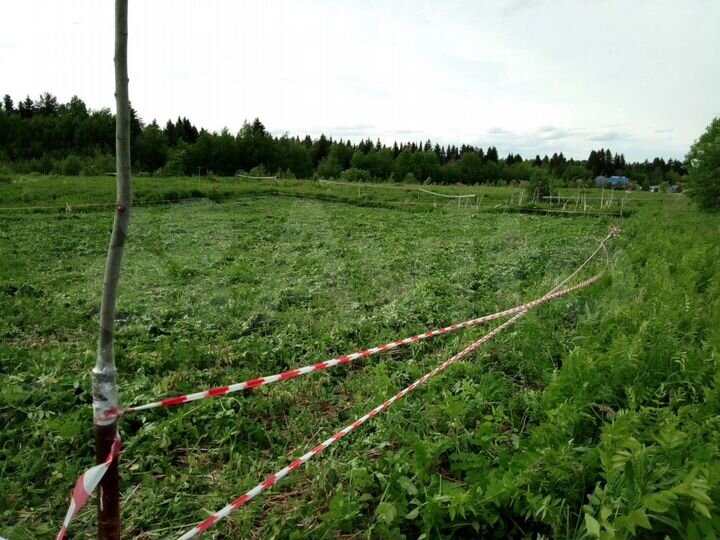 Участок 12 сот. (СНТ, ДНП)