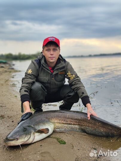 С гидом на рыбалку Рыбинское водохранилище