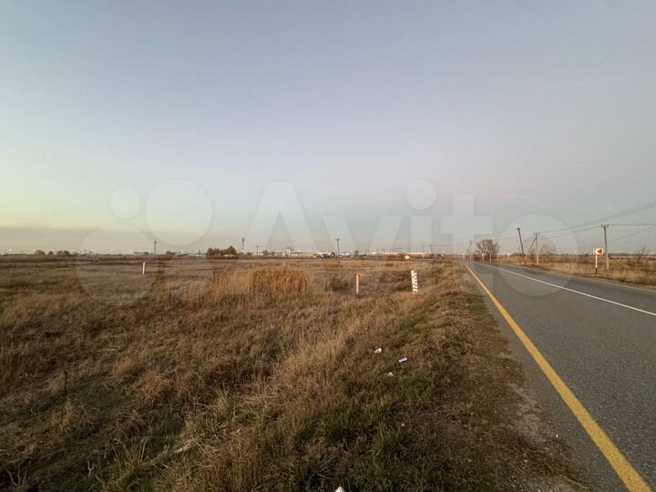 Участок 65 сот. (СНТ, ДНП)