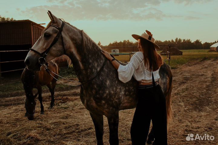 Прогулки на лошадях/фотосессии/обучение