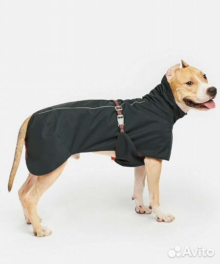 Одежда для большой собаки