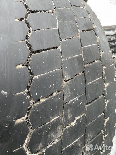 Шины