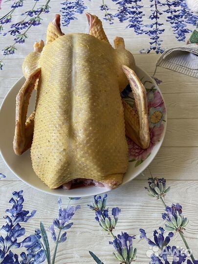 Утки муларды