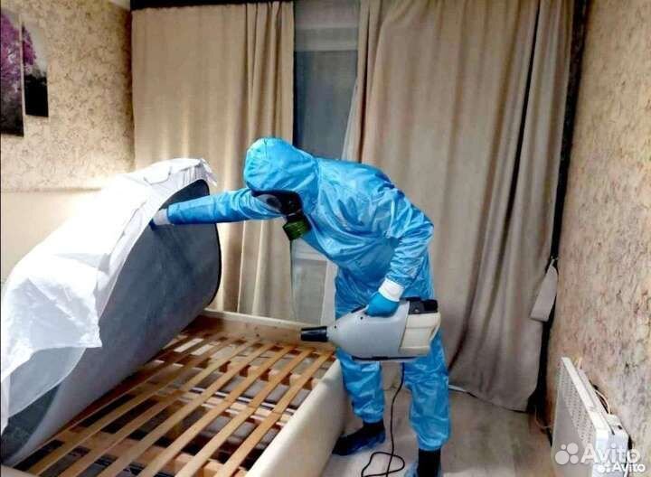 Уничтожение тараканов клопов мышей блох клещей