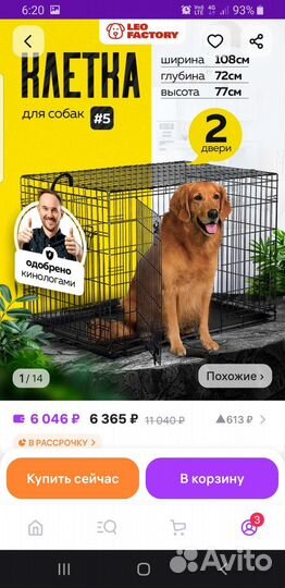 Веймаранер
