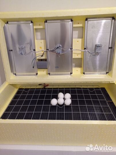 Инкубатор Золушка с ЖК 98 яиц,автоповорот, 220/12в